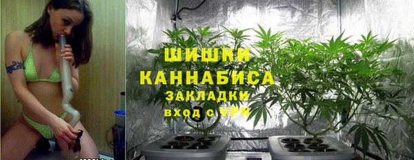 spice Кодинск