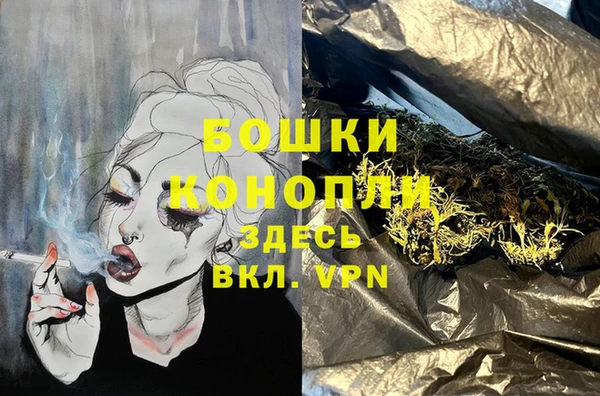 spice Кодинск