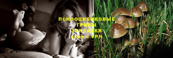 spice Кодинск
