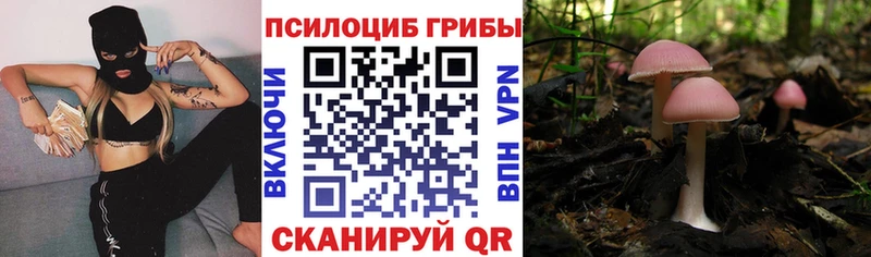 Купить  Апрелевка  Галлюциногенные грибы прущие грибы 