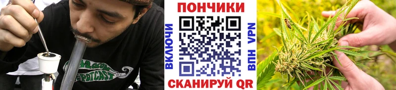 Купить закладки  Апрелевка  Конопля семена 